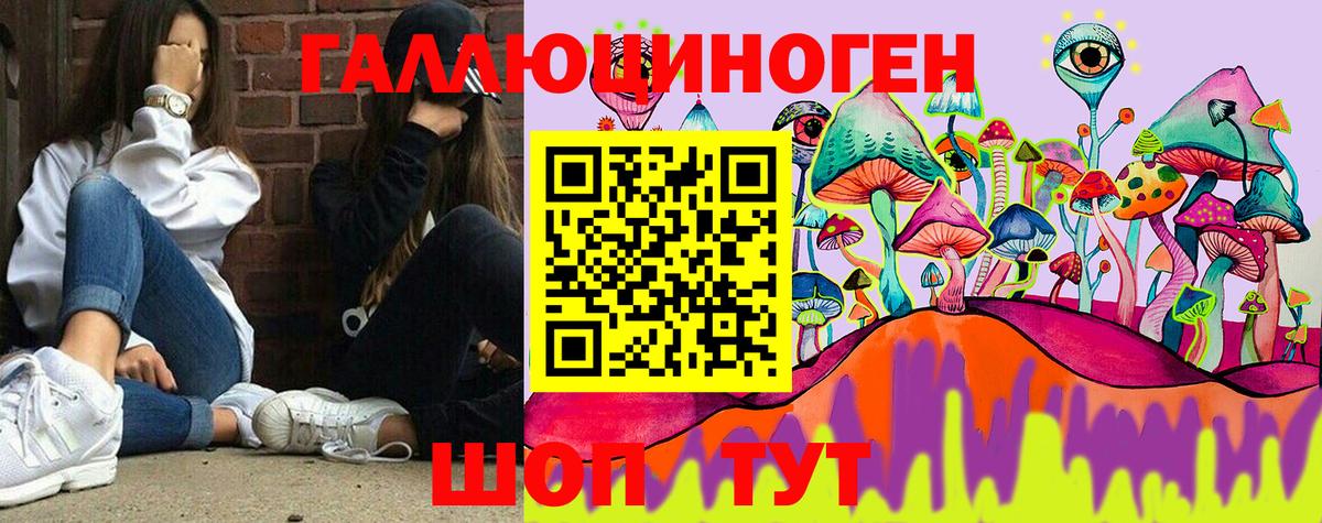 Псилоцибиновые грибы мицелий  Вход с VPN  Алапаевск 